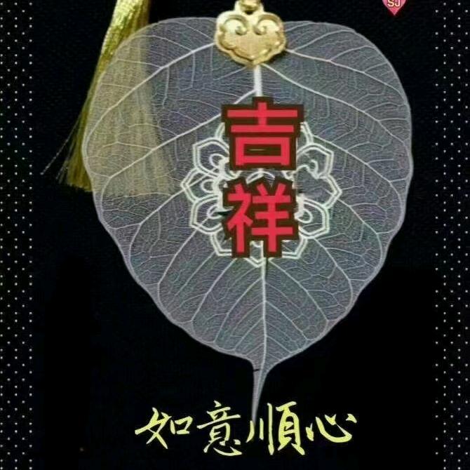陇山……人参