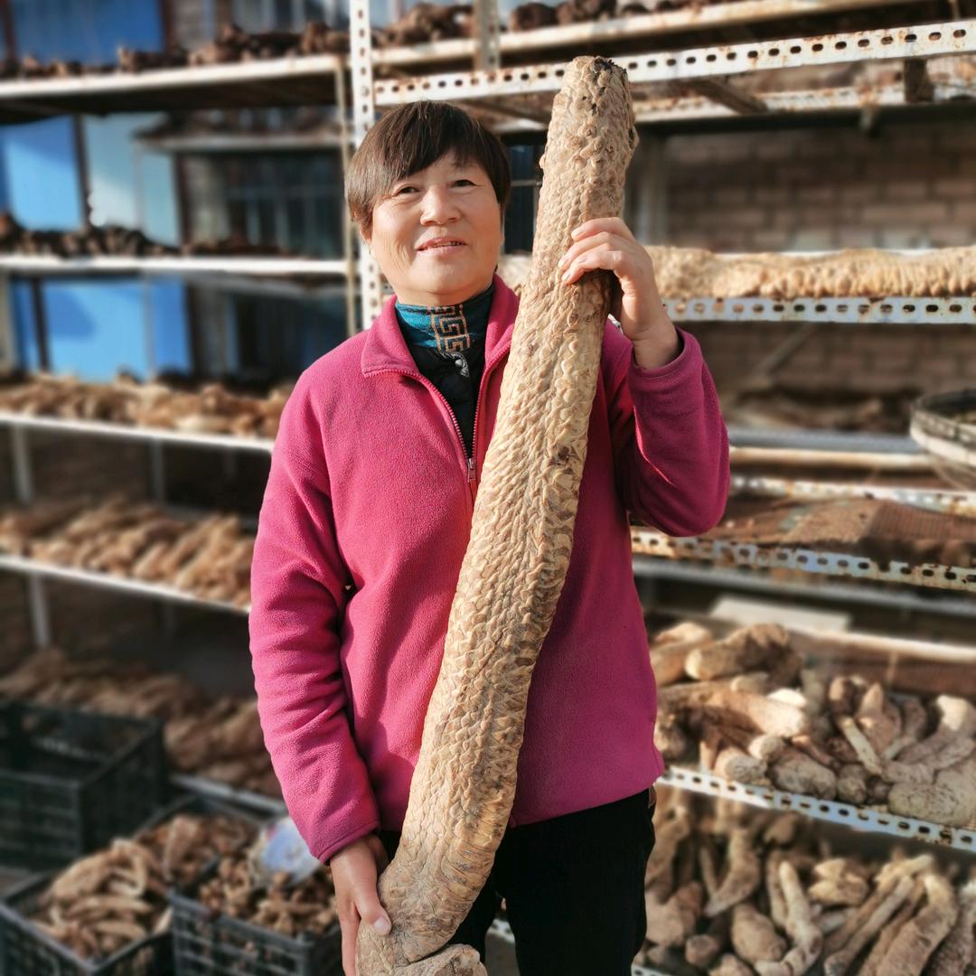 内蒙古阿拉善肉苁蓉何姐