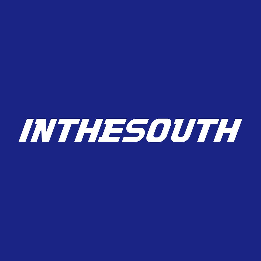 IN THE SOUTH南面