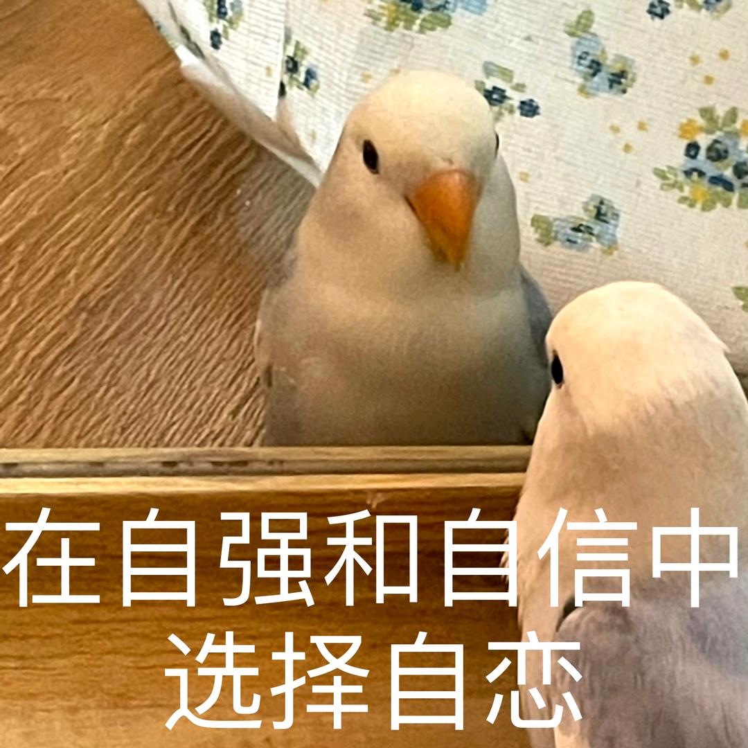 笑一下就蒜了