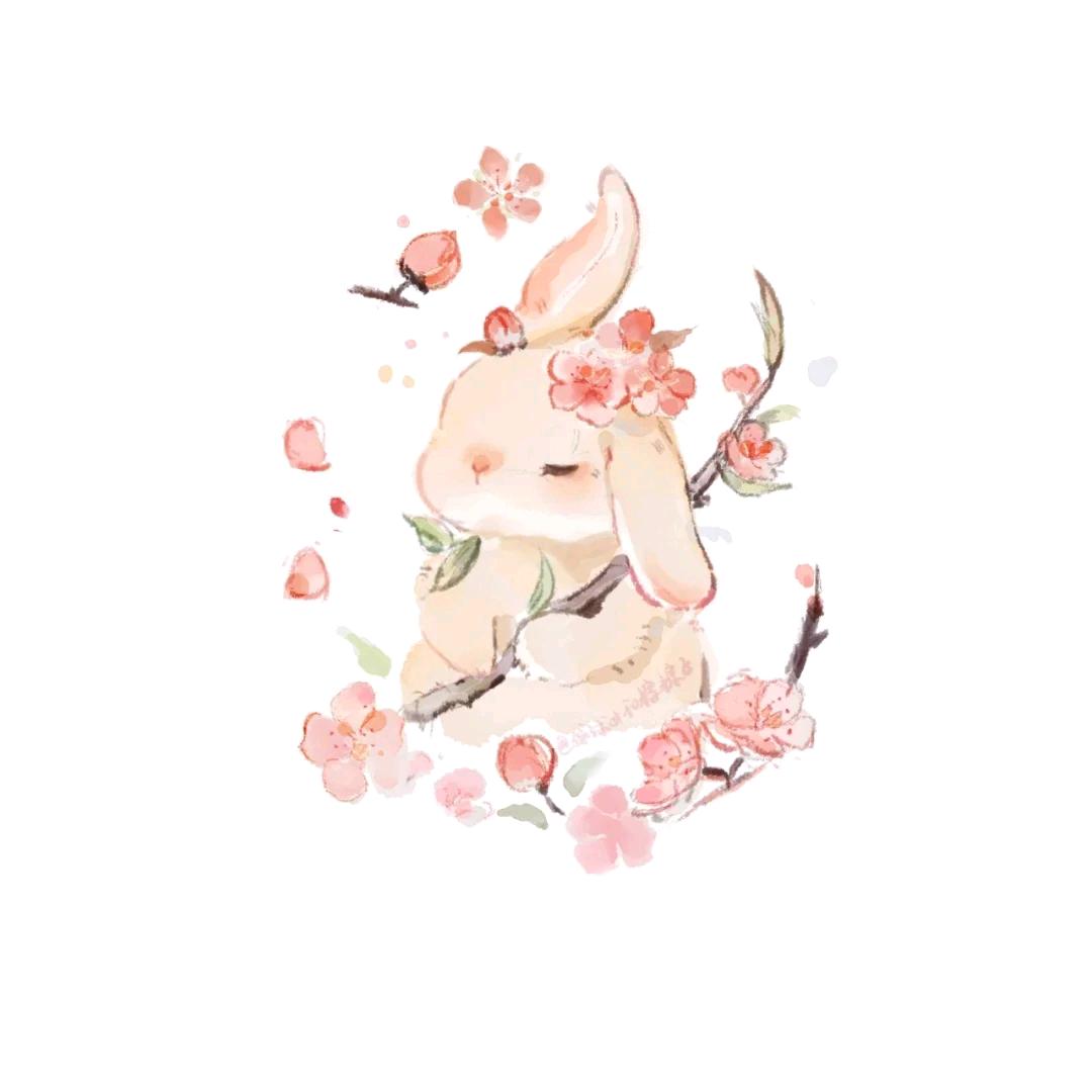 晒太阳的星星🌻头像