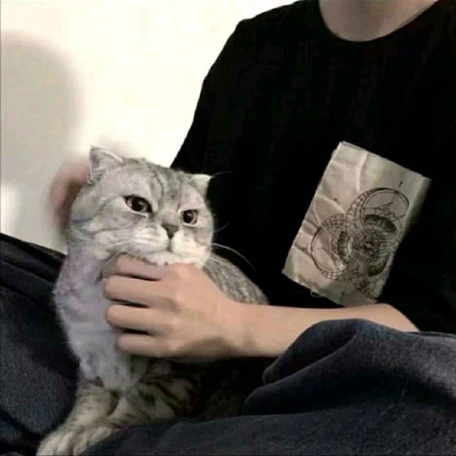 元气满满炖品(霞梧店)官方号