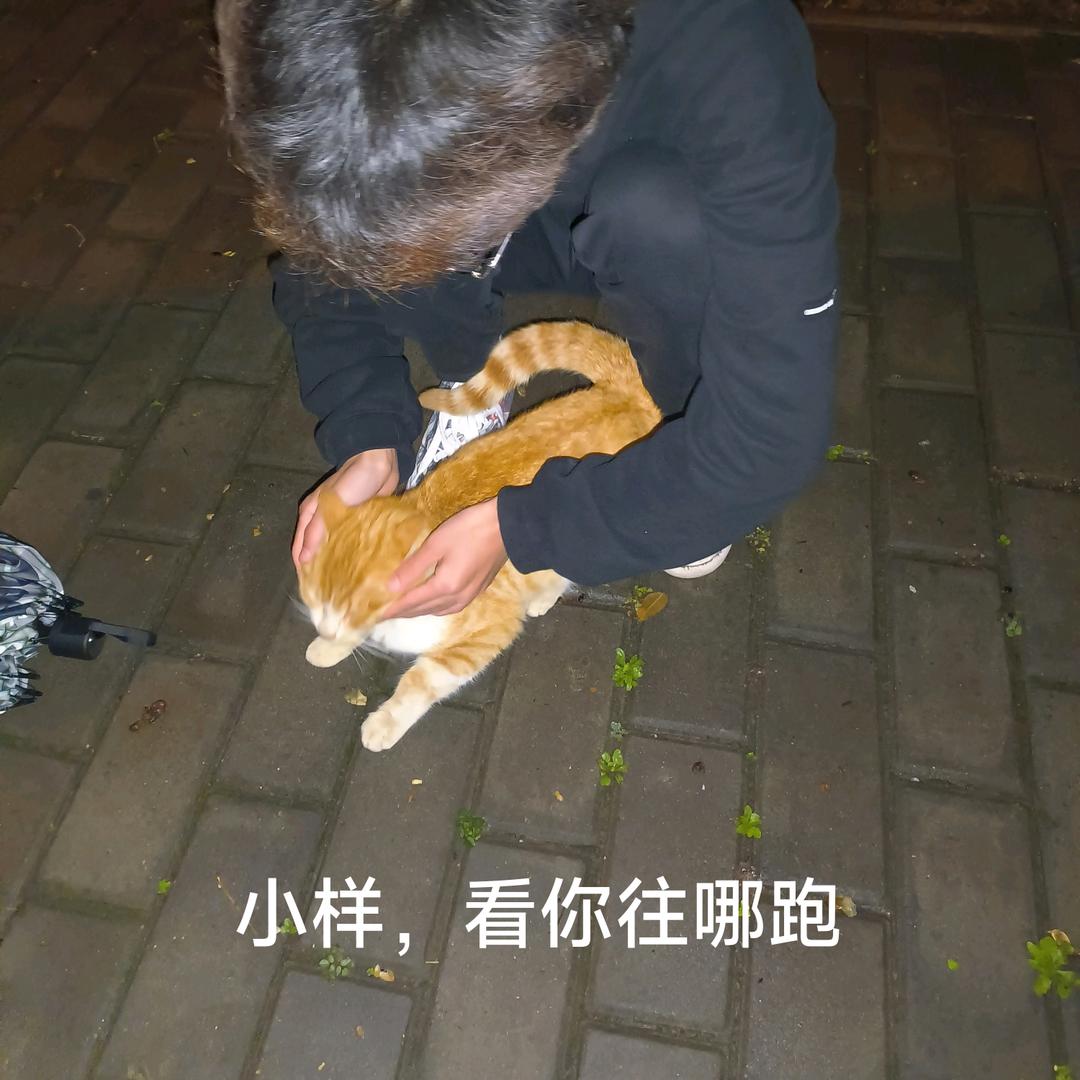 谪仙怨