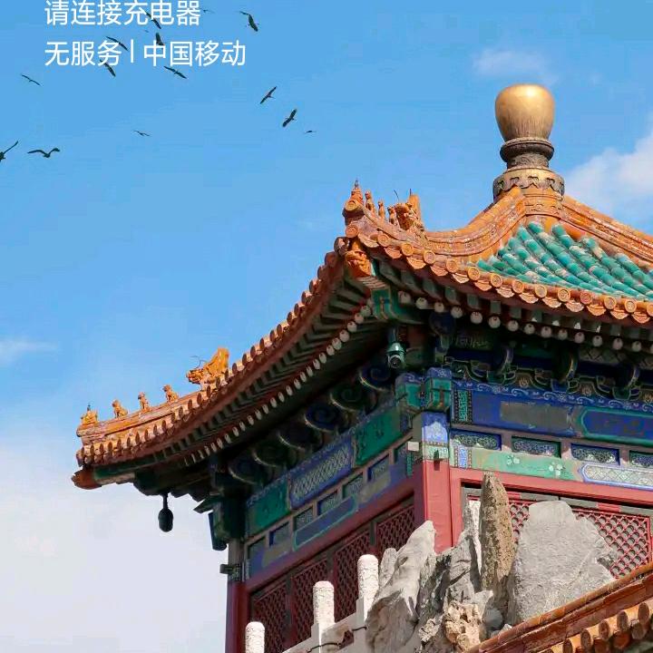 锦城绿化
