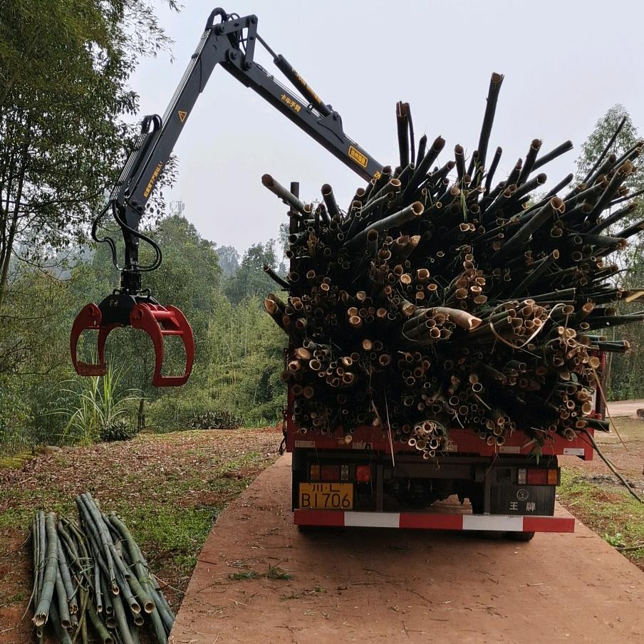 杨师傅，四驱抓木车