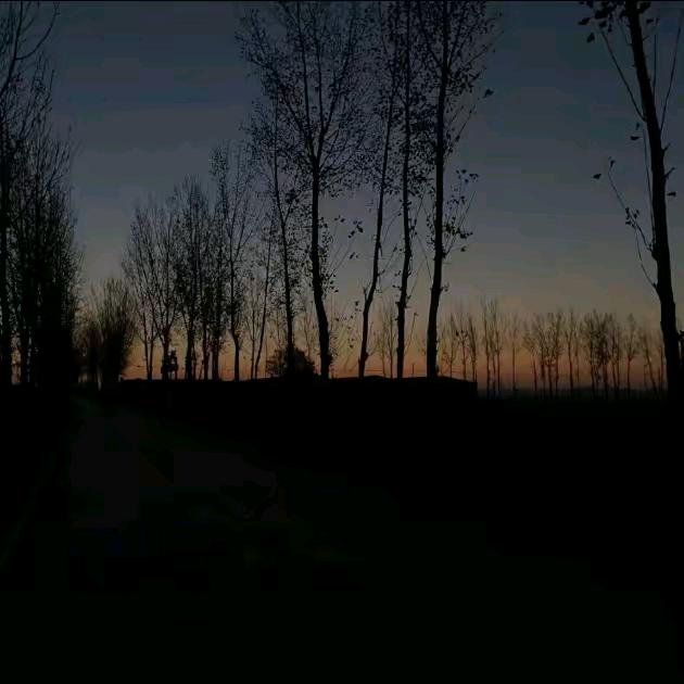 《【星辰大海】》