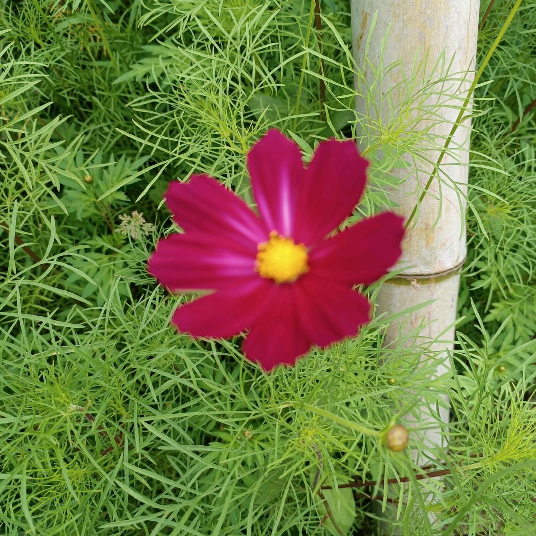 ☔️零碎小雨🌧