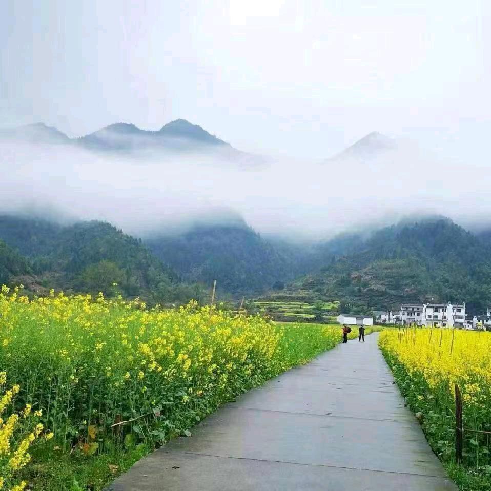 爱笑的蔡