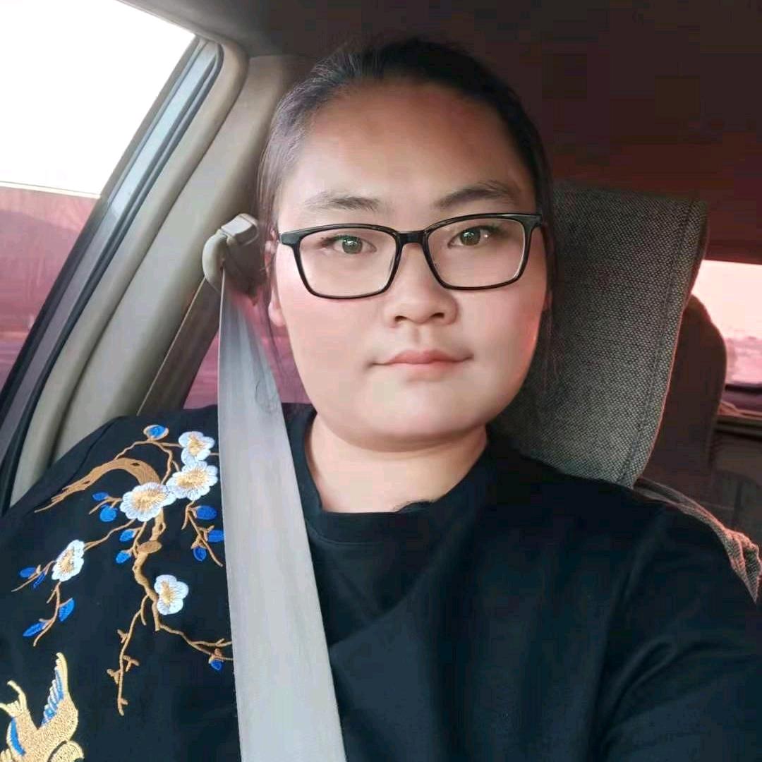 鸽子🕊️🕊️🕊️