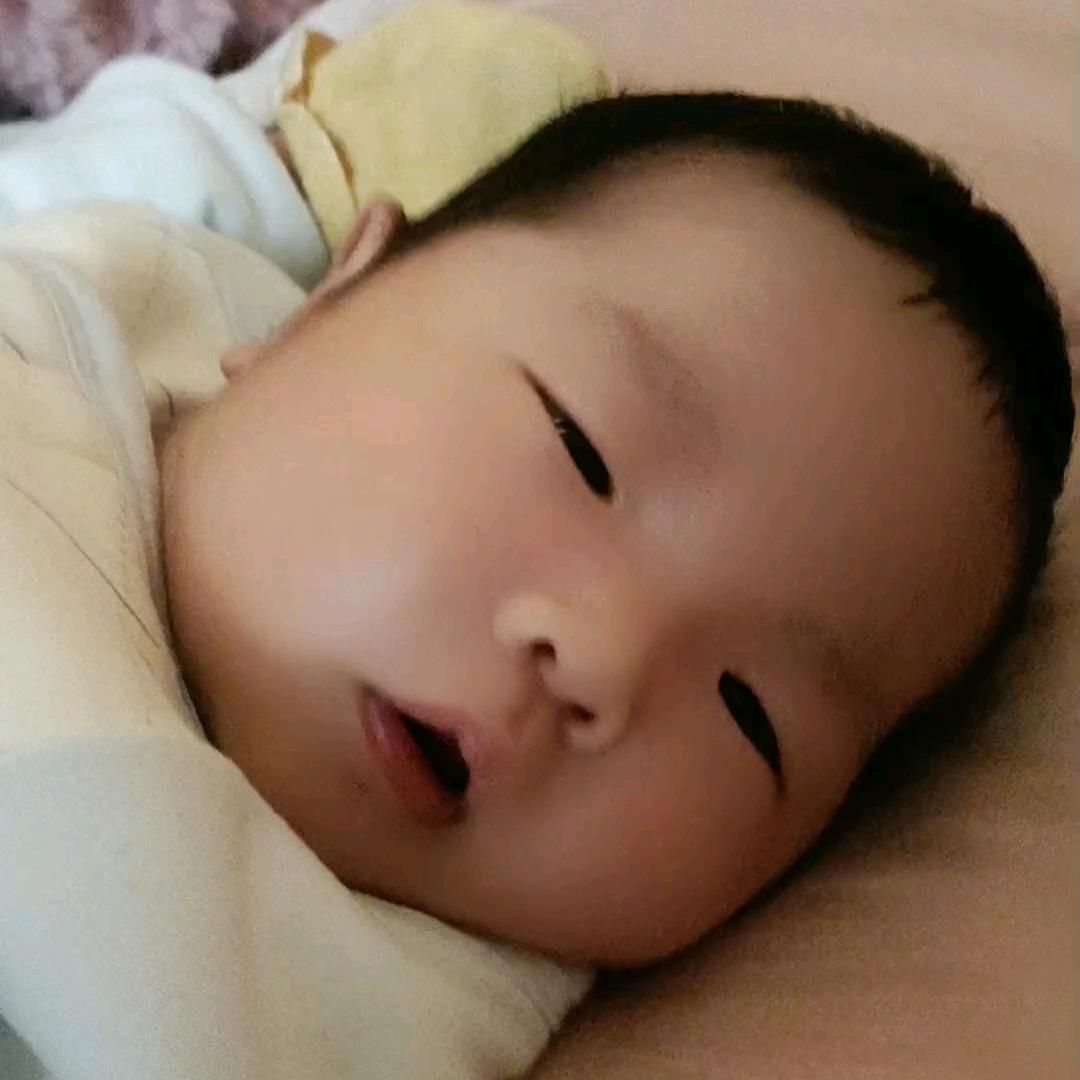 相思的债