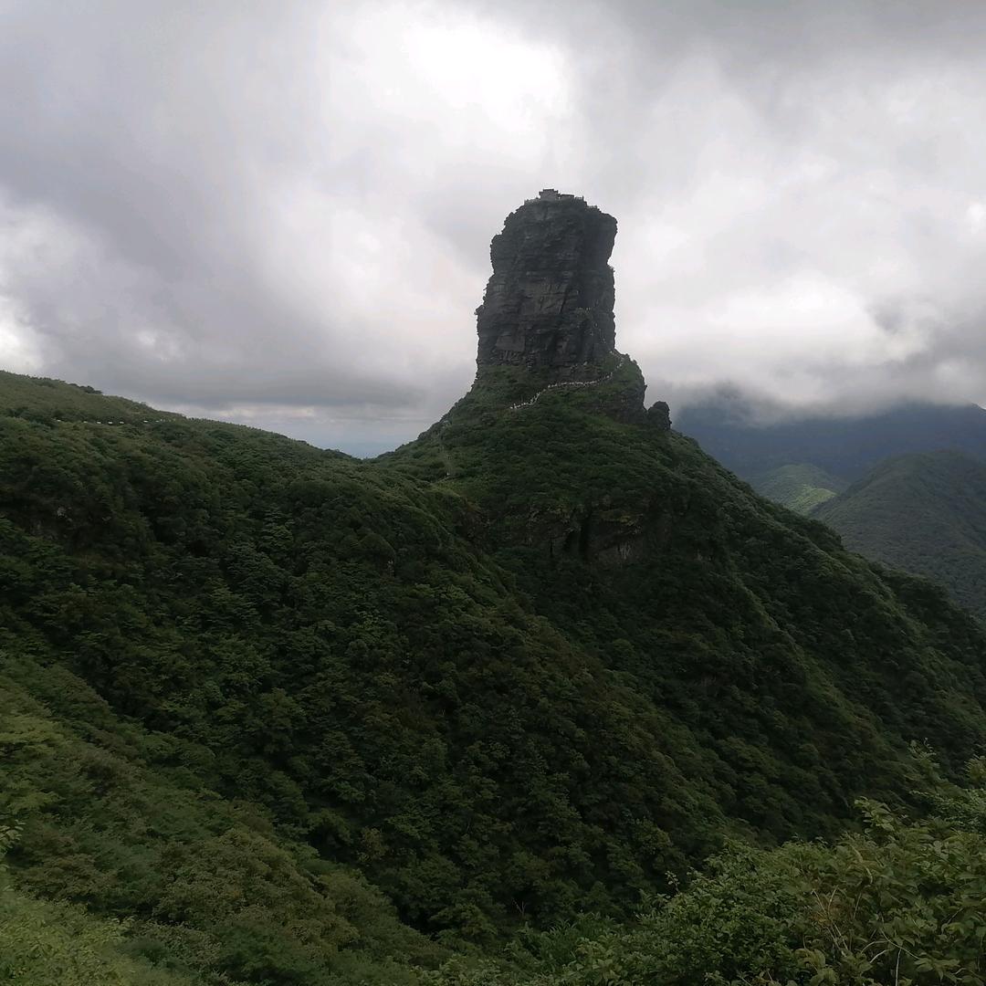 顾客