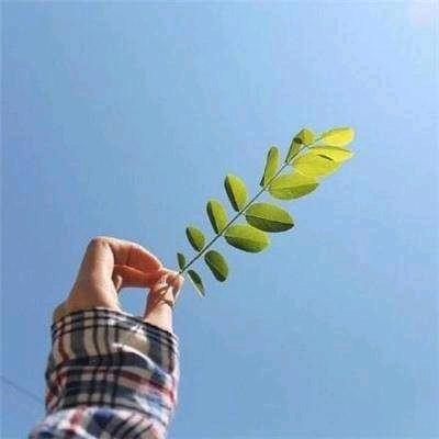 柠檬茶 ⁶⁶¹