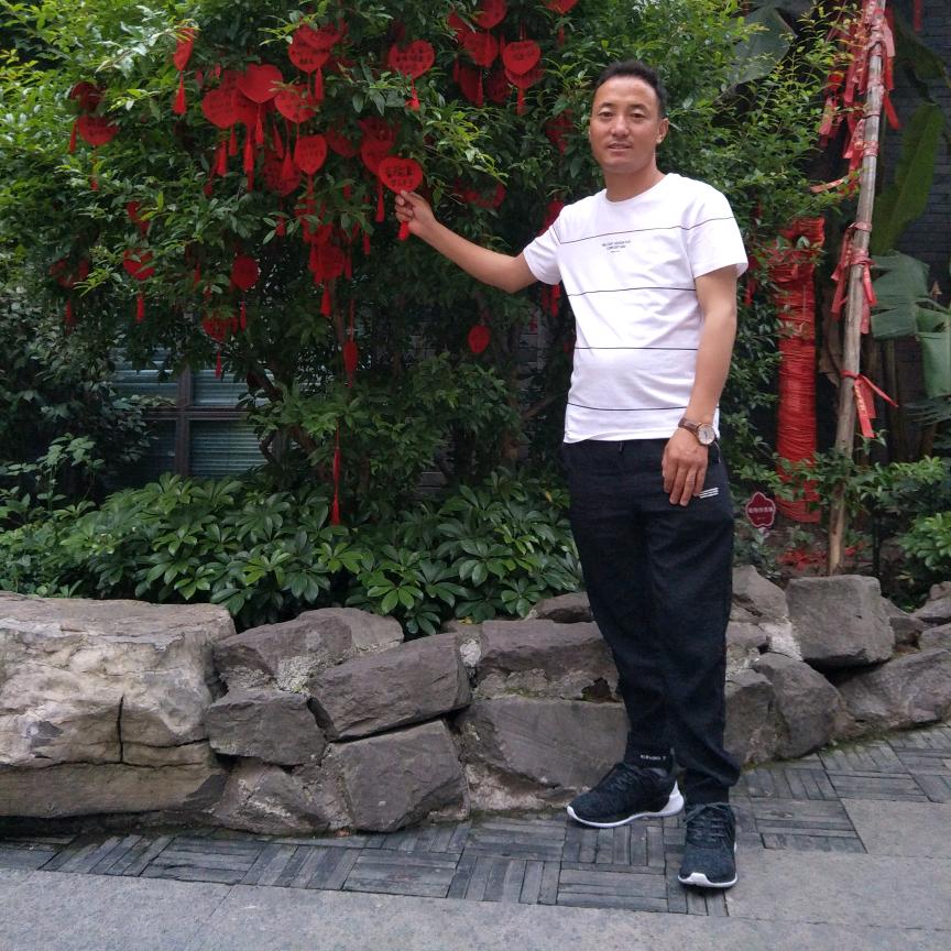 西藏坚参汽车服务有限公