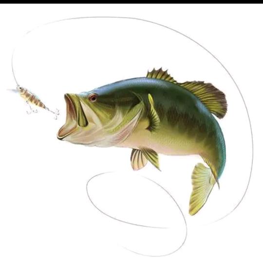 🎣