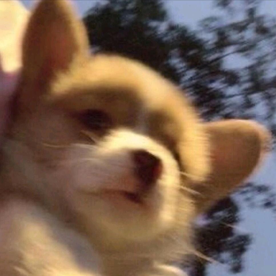 ☪