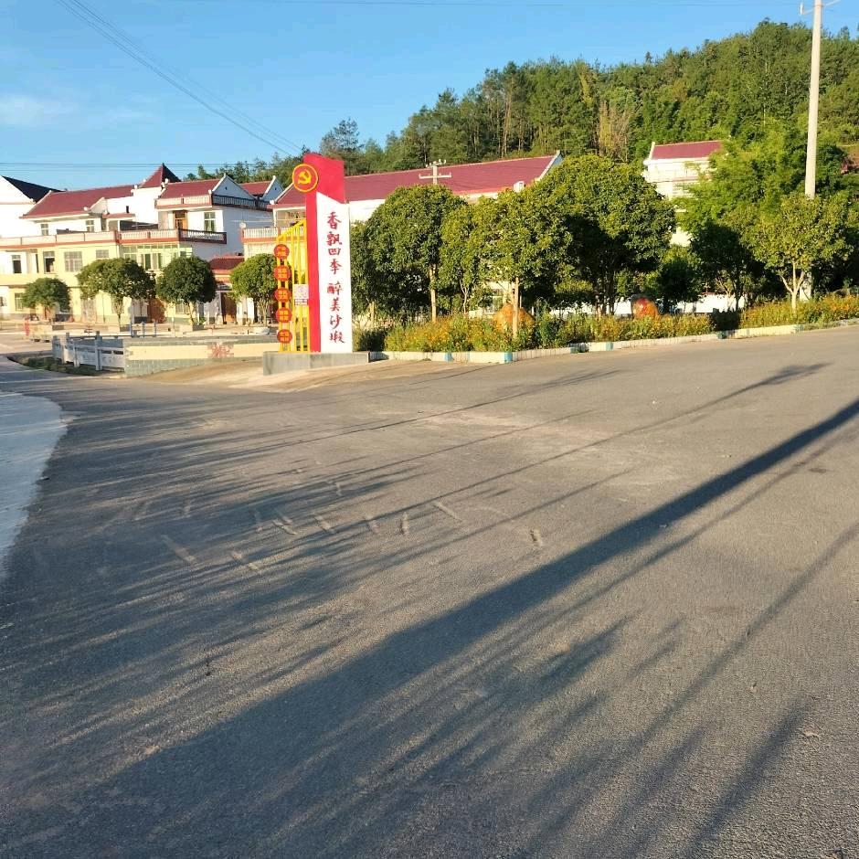 兰尘飞扬