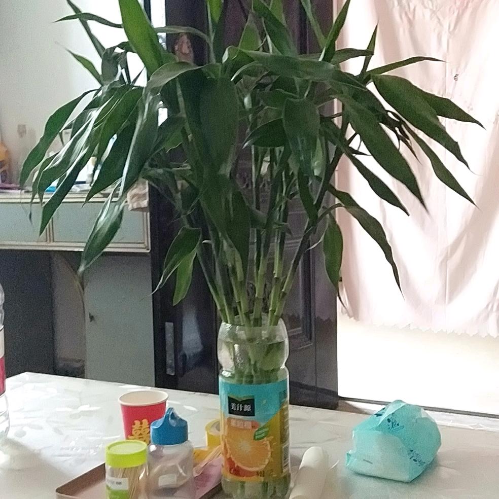 美好未来