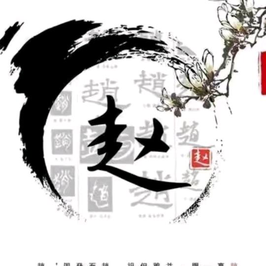 赵财招福
