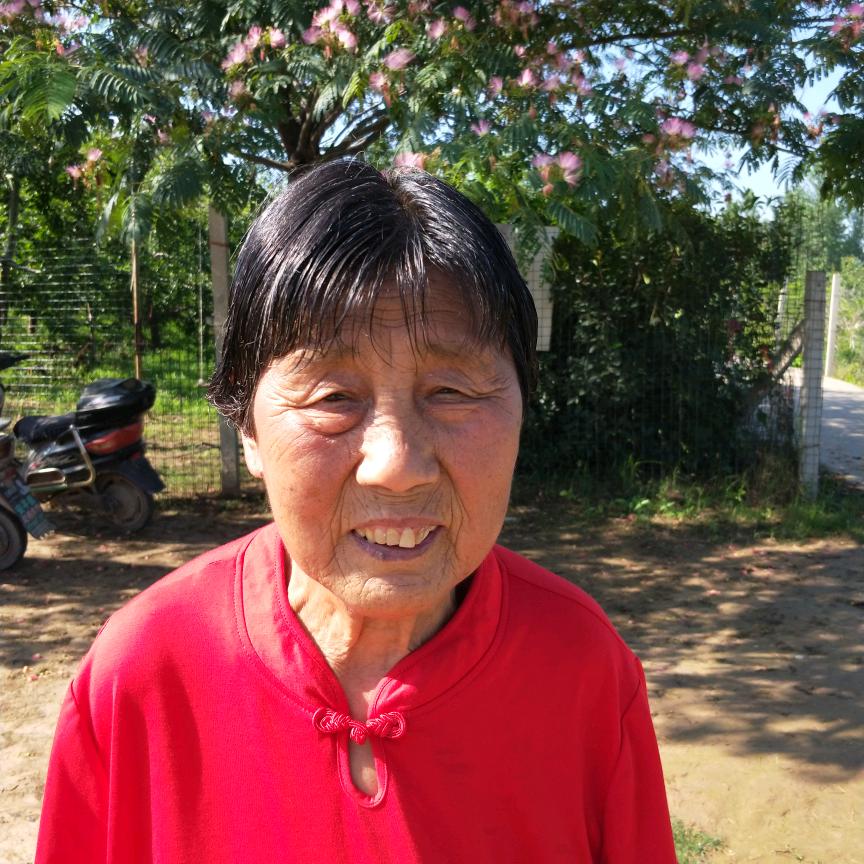 如意奶奶(晚上8:10开播)