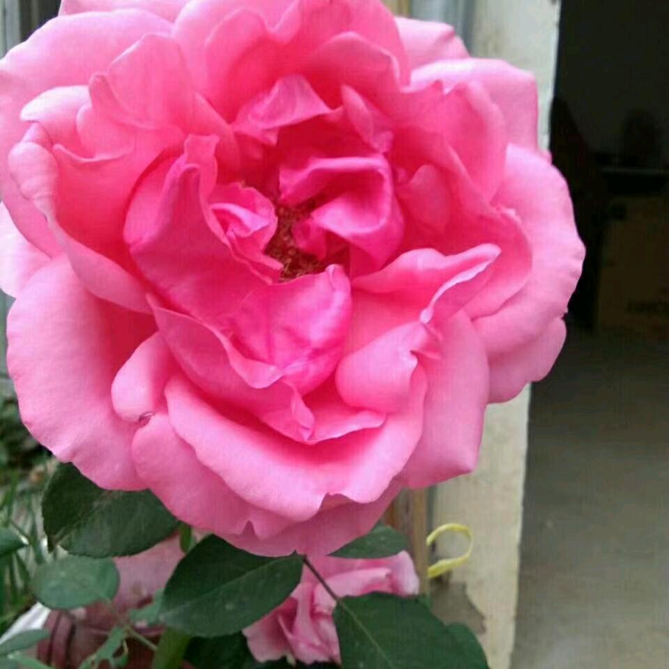 平淡的生活才是福老潘