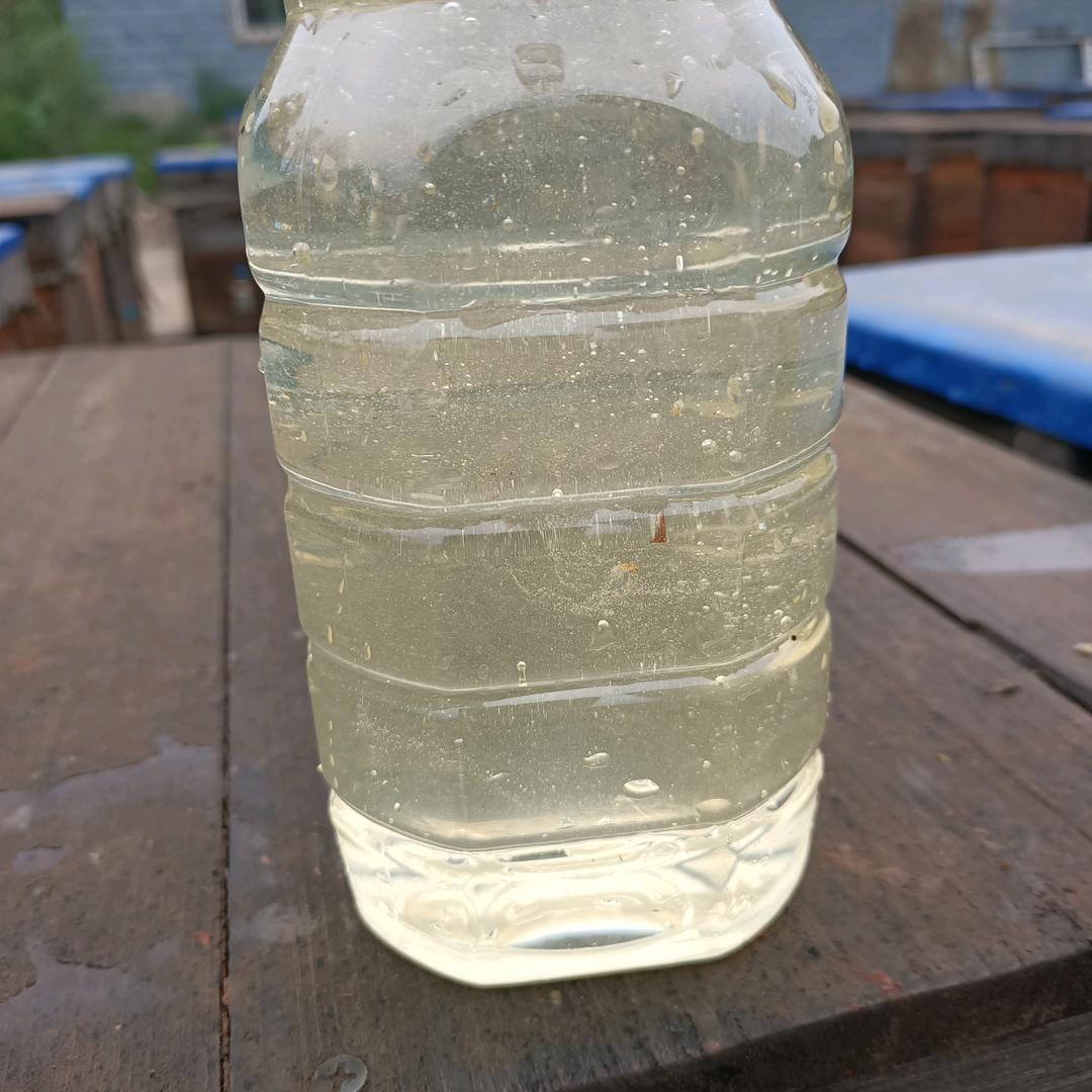 肖氏蜂厂