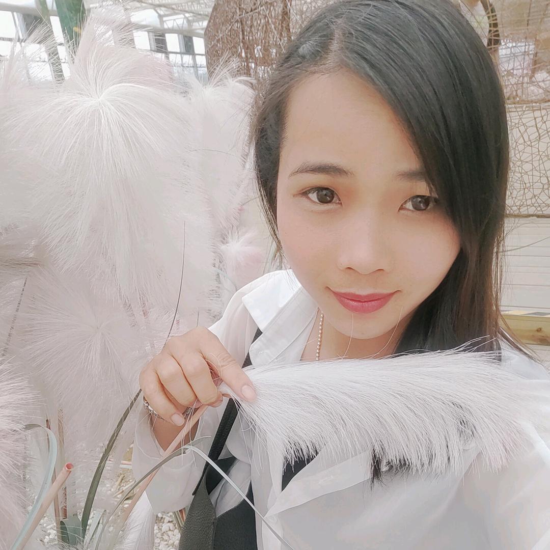 心安是归处