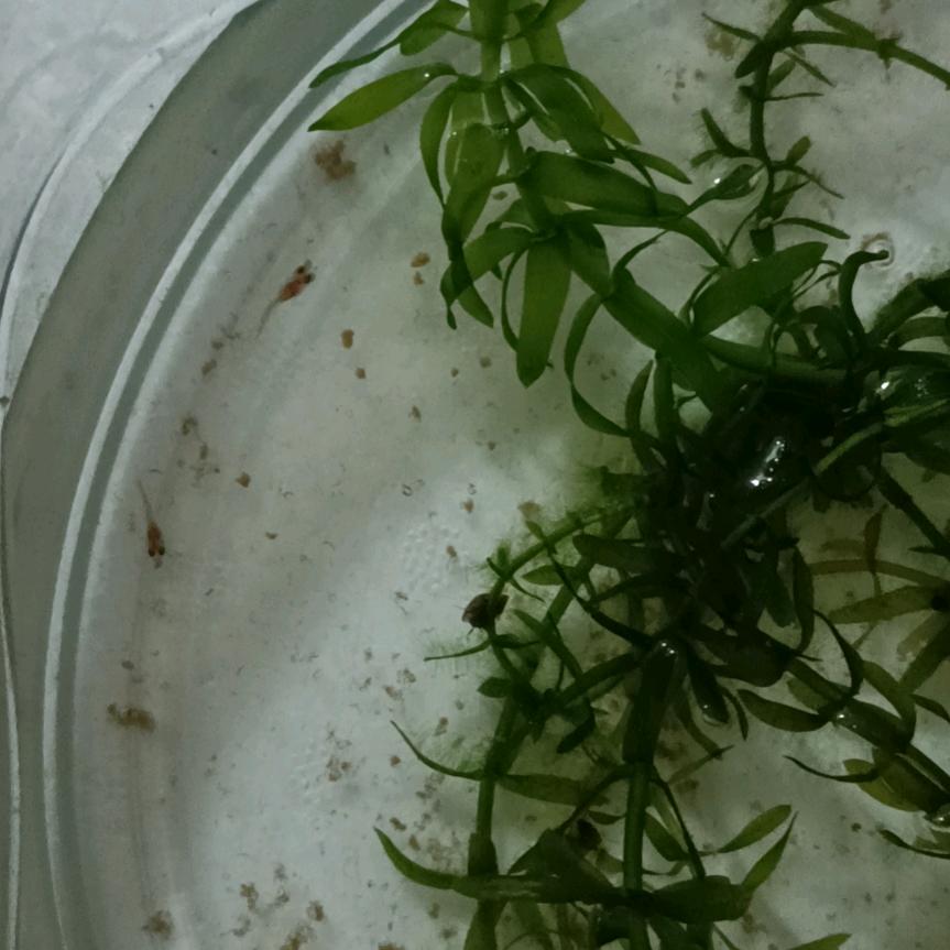 泉水