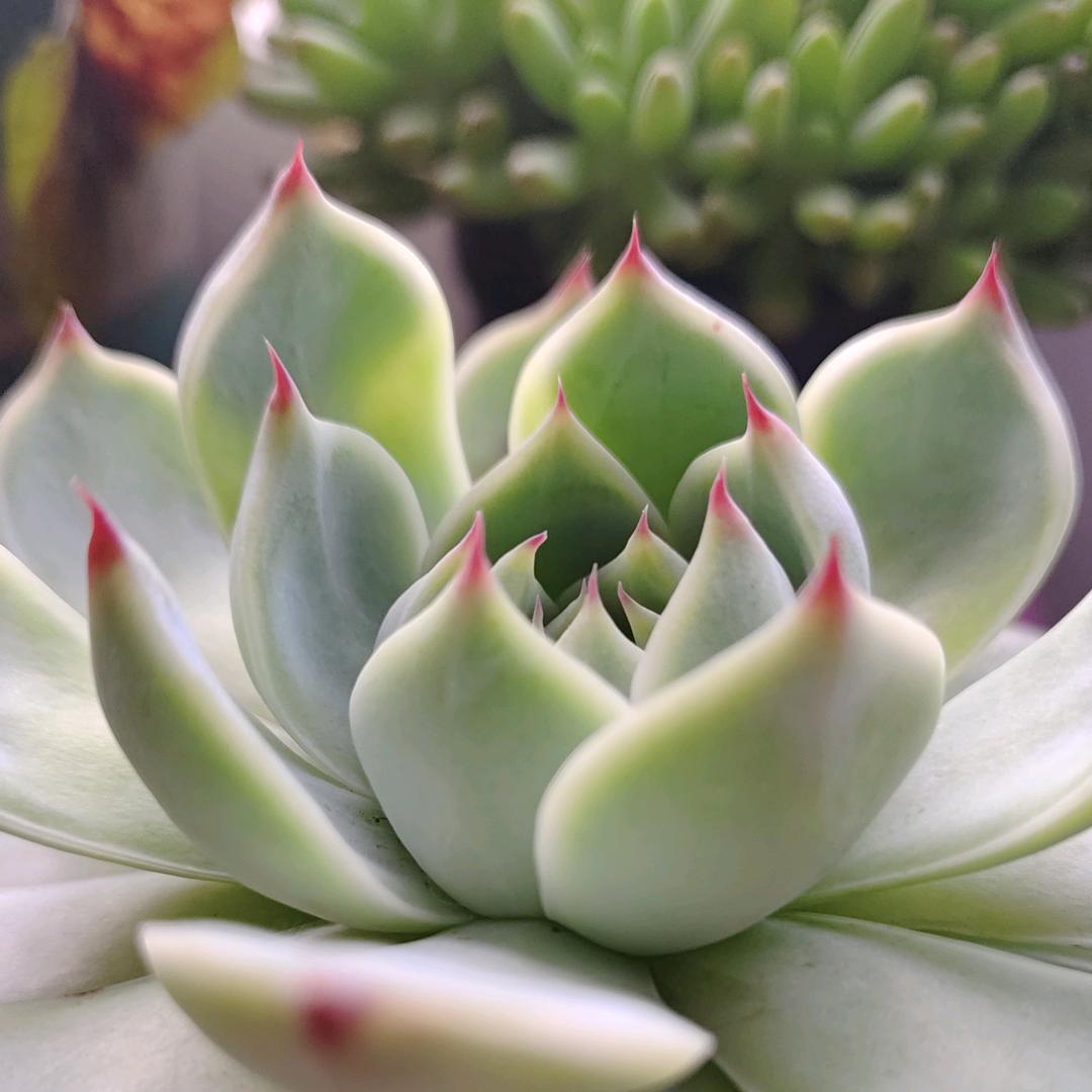 💓我想我爱你哟💓