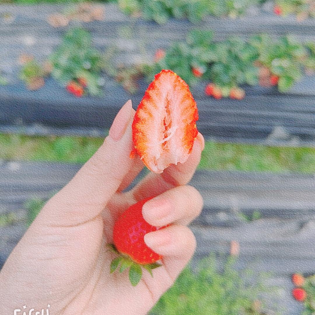 小宝姐姐