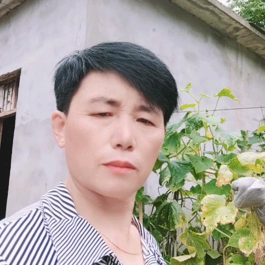 萍姐爱舞