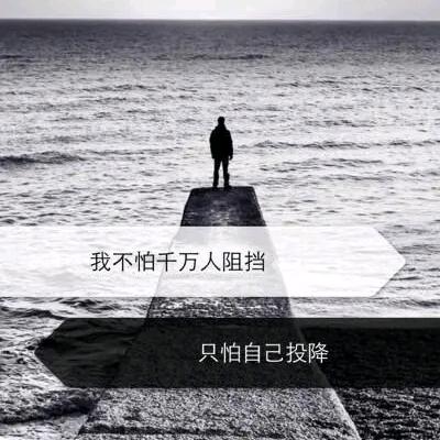 董不懂的安某