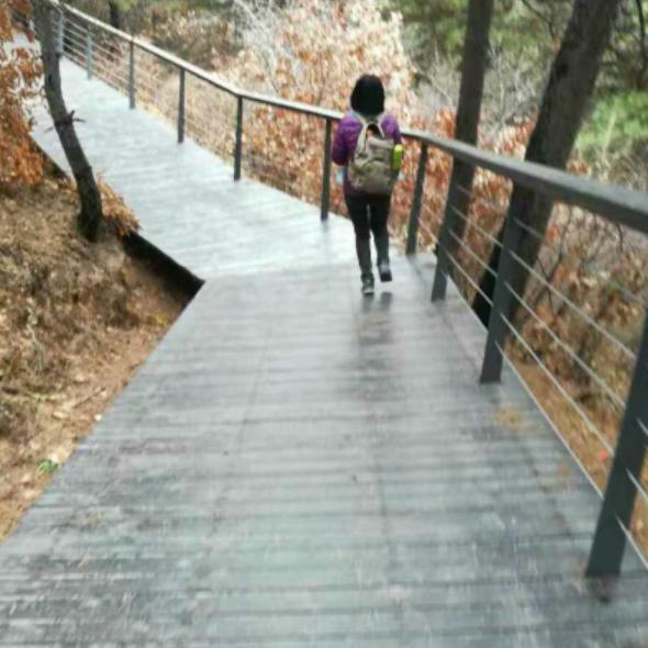 願楓裁麎的头像