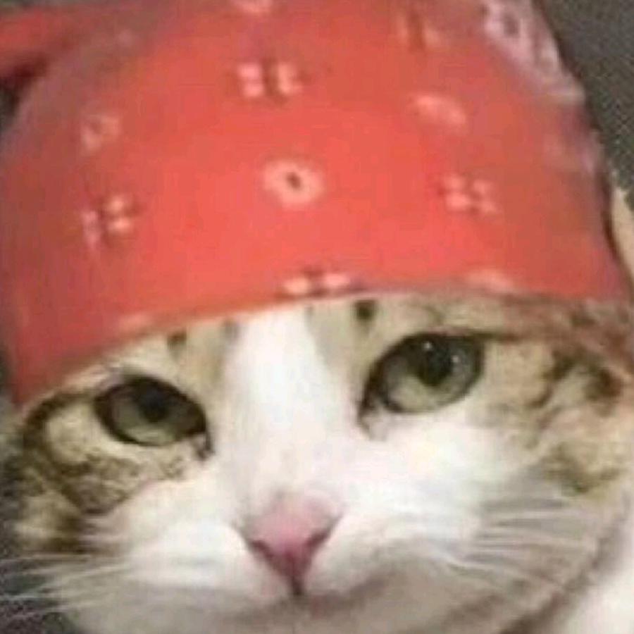 白给之人的一天