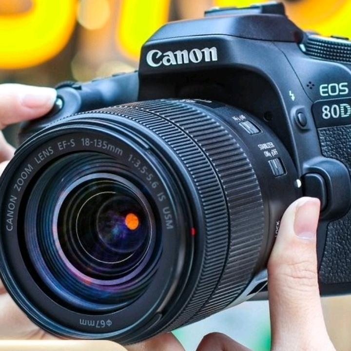 抓拍记录美好瞬间