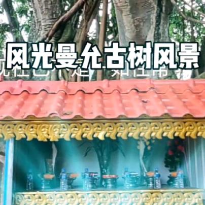 天障神兵