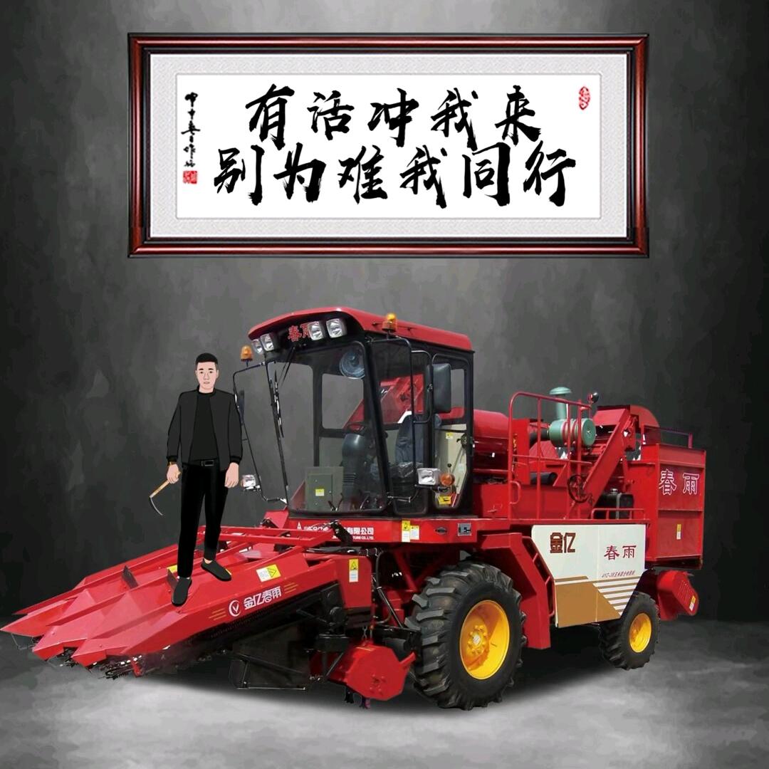 宁夏小杨（玉米收割）