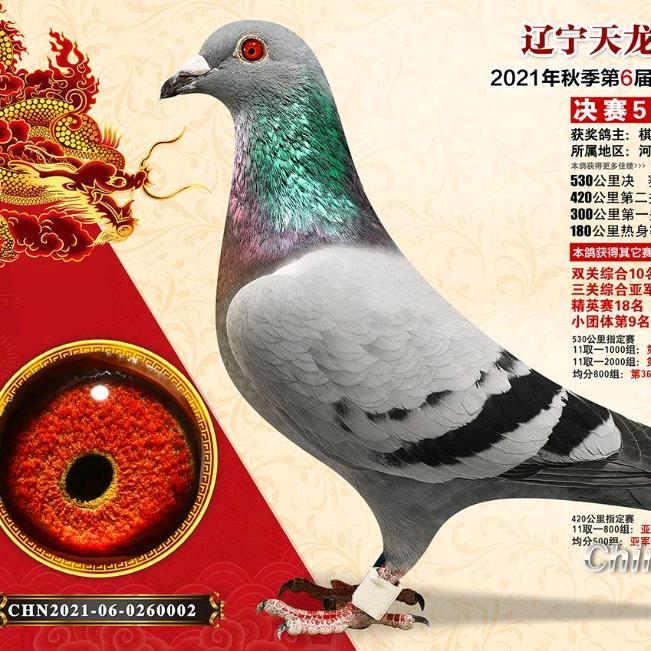 贺金辉