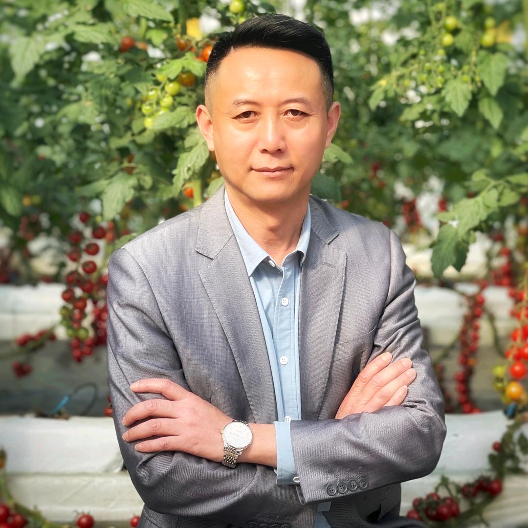 大杨哥