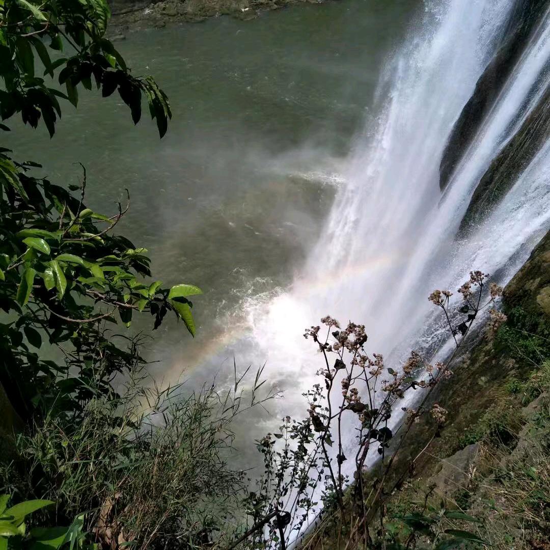 ﹏遗忘。该如何忘记