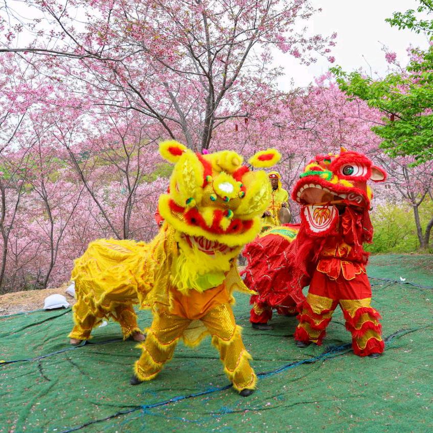 三明赖坊舞狮队