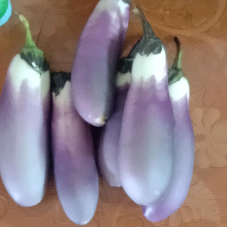 川R四川南充中国梦