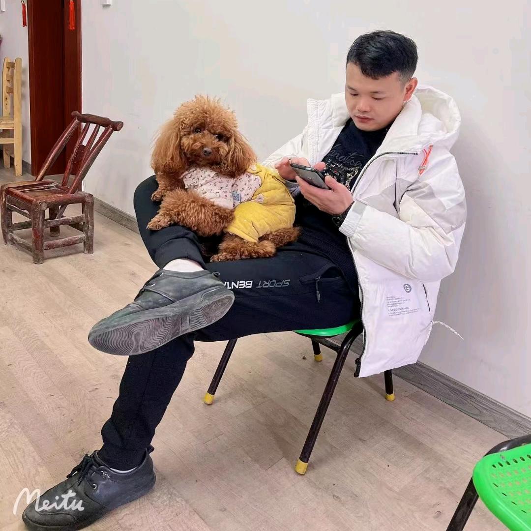 镜面小高