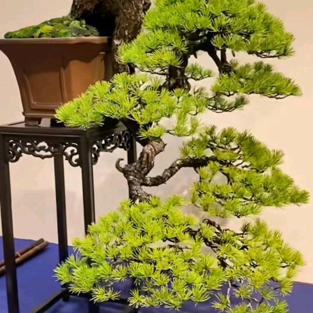 狼人