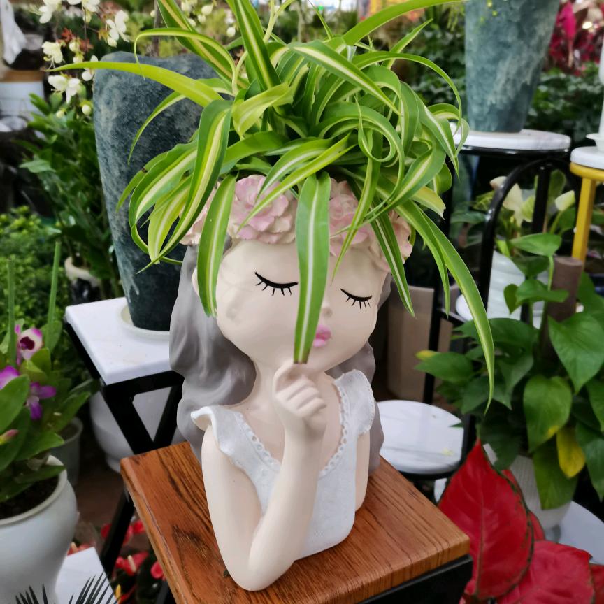 植满园