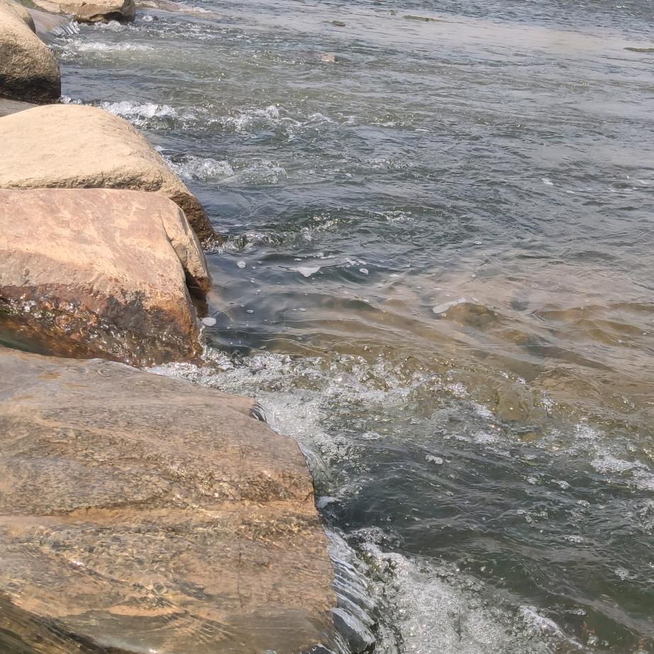 大别山里的种茶人