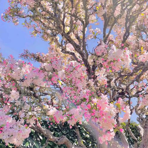 天天好物日用品推荐