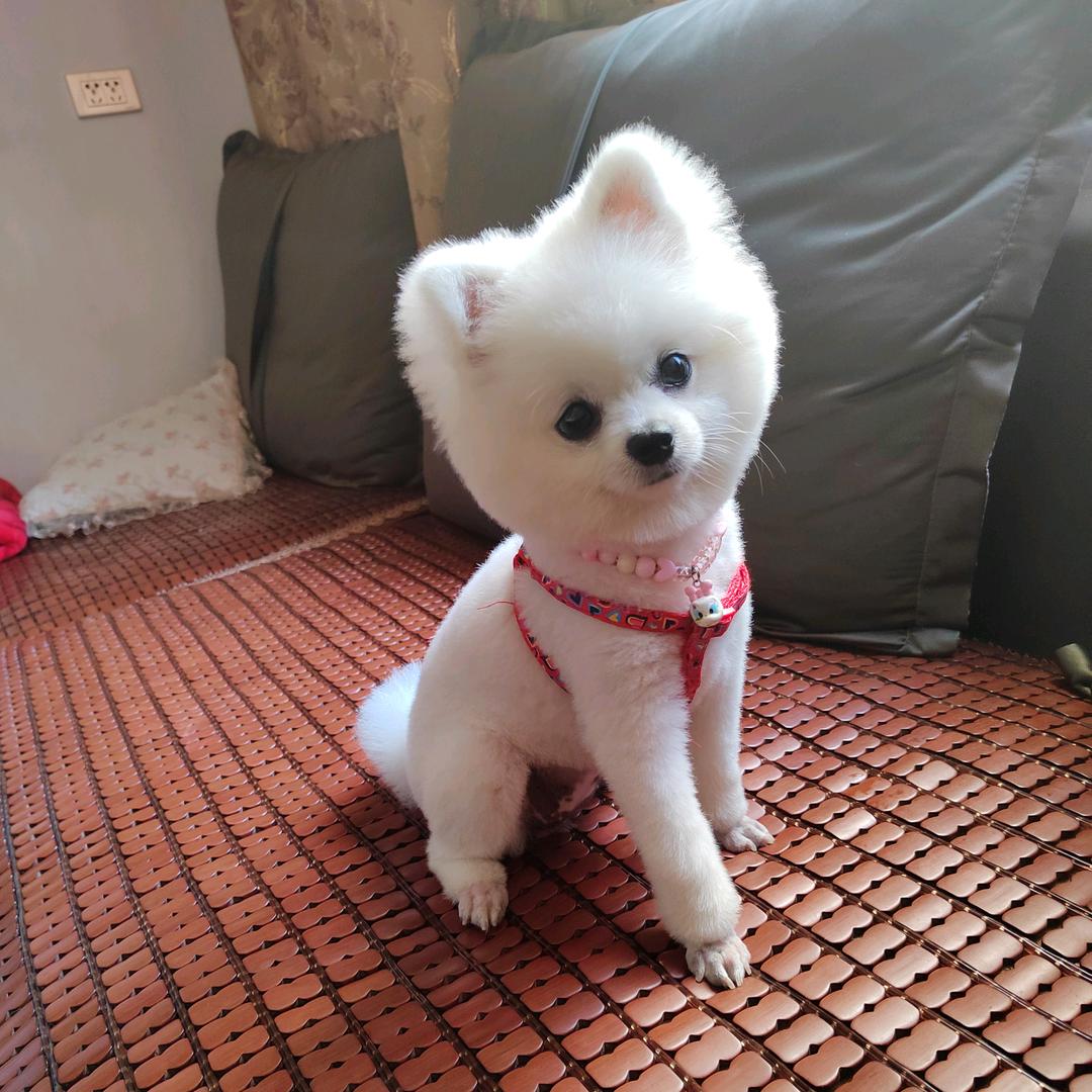 小幸运《拒绝私聊》