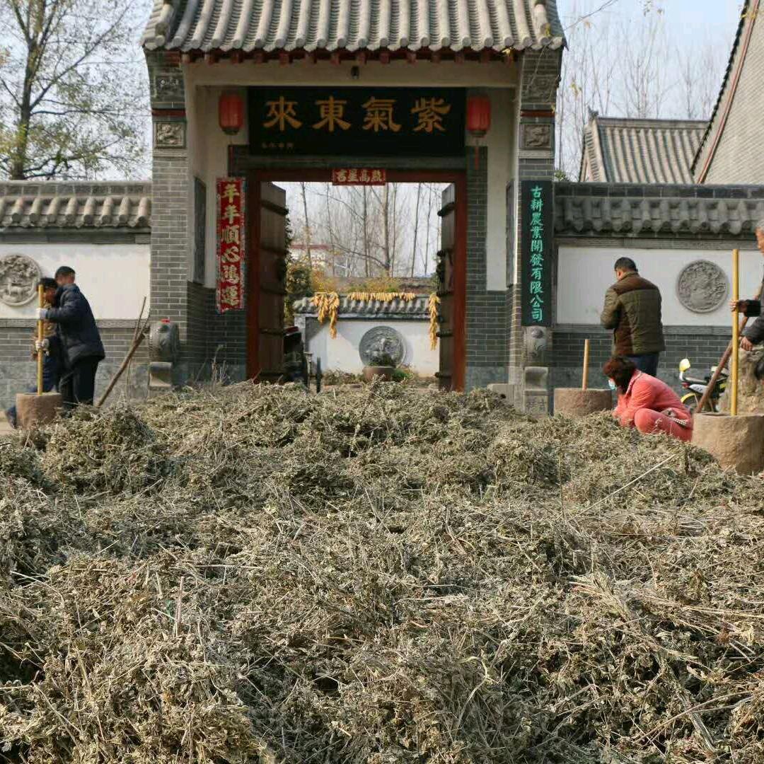 襄城县丁营乡天然艾条生产厂家