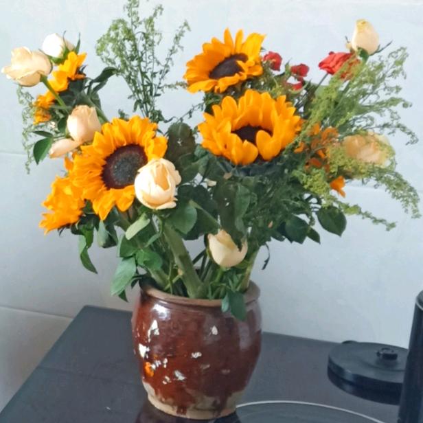 面向太阳就是希望，梦想是最好信仰