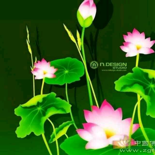 参战老兵
